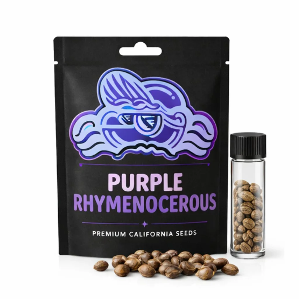 Purple Rhymenocerous