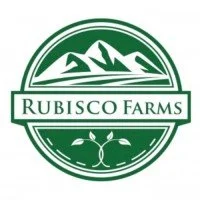 Rubisco Farms Cannaveras Dennis SanFelipe