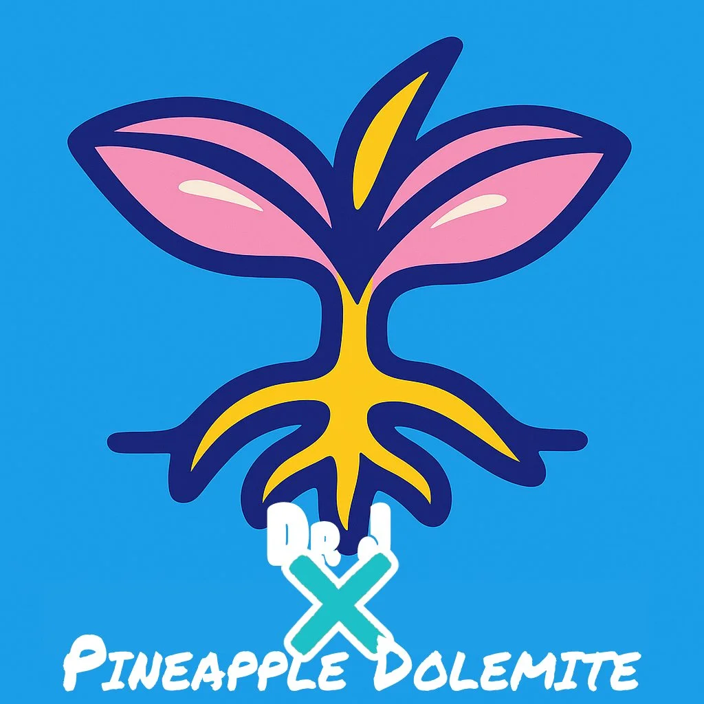 Dr J Pineapple Dolemite - FINAL.jpg