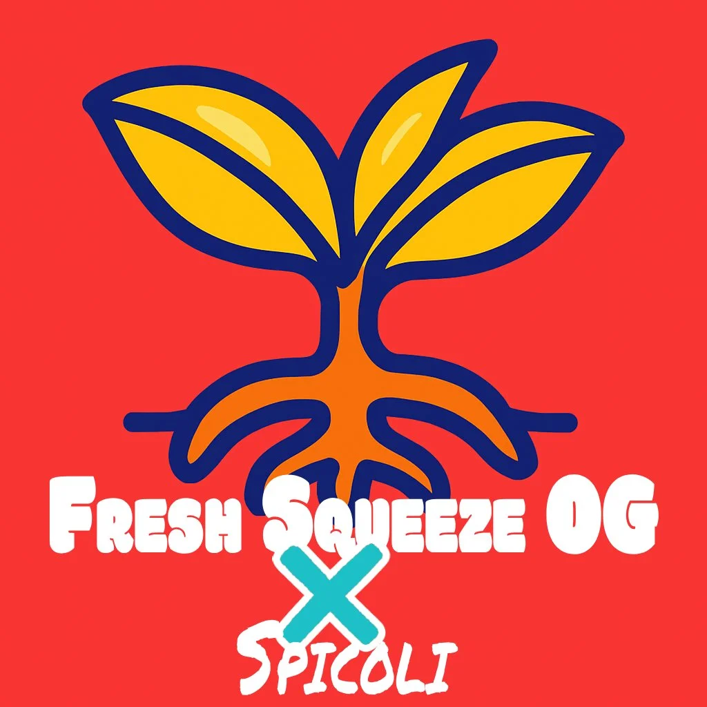 FRESH SQUEEZ OG x SPICOLI.jpg