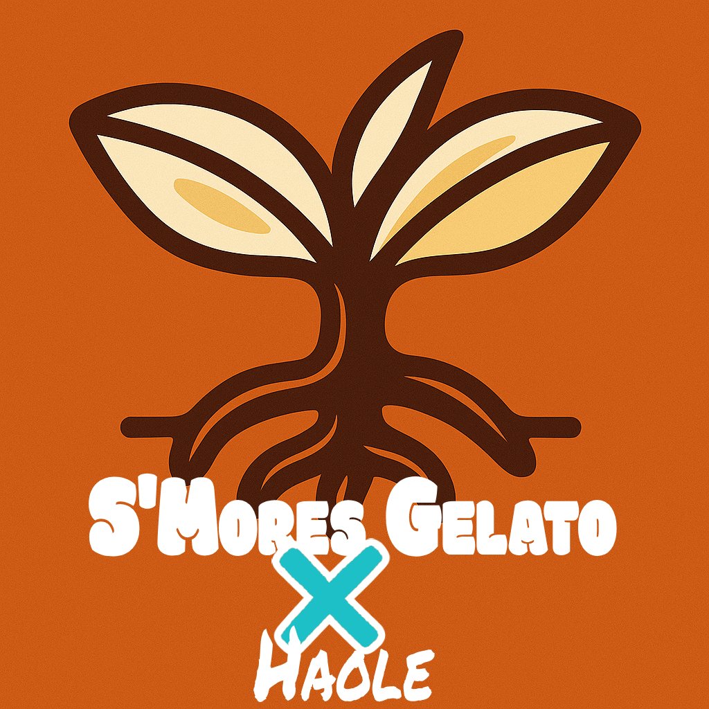 S’MORES GELATO x HAOLE.jpg