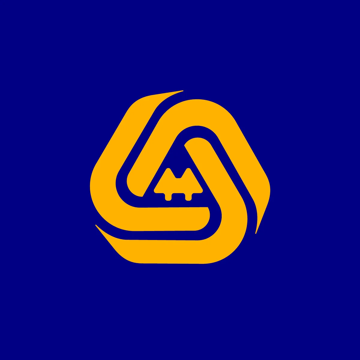 COFAC 
Cooperativa de ahorro y crédito  
Cooperative of savings and credits 
Marcos Larghero 
Circa 1970