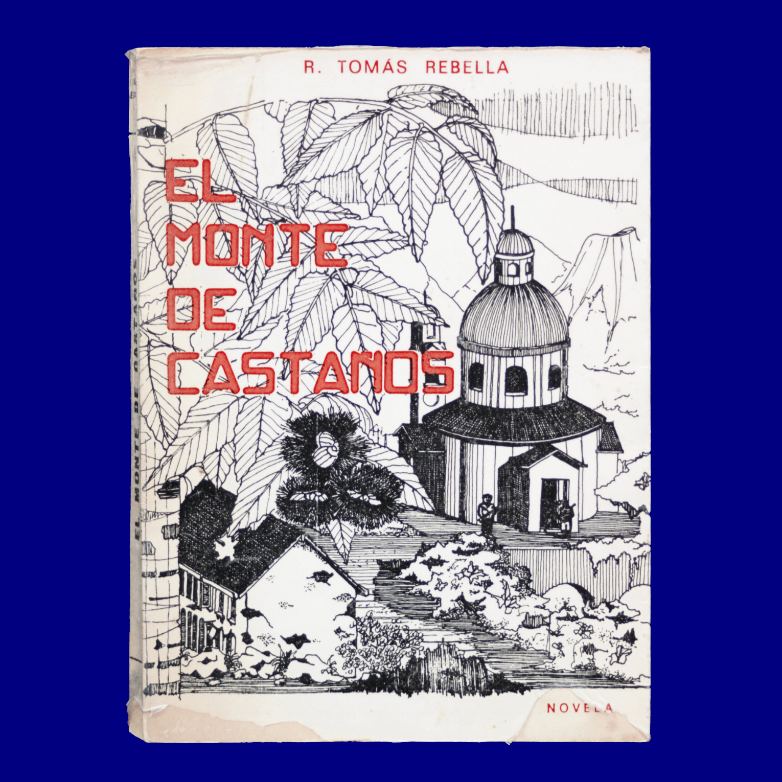 El Monte de Castaños R. Tomás Rebella Gober Correa 1983