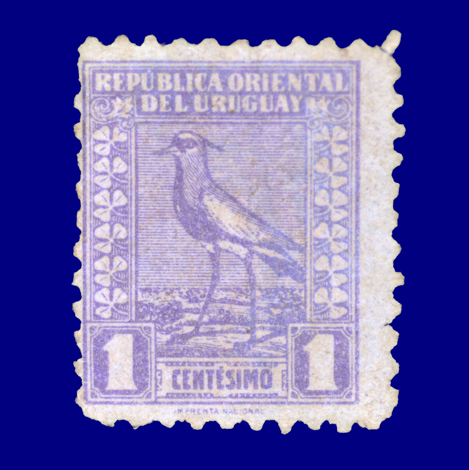 Tero Southern lapwing ¢1 Circa 1930