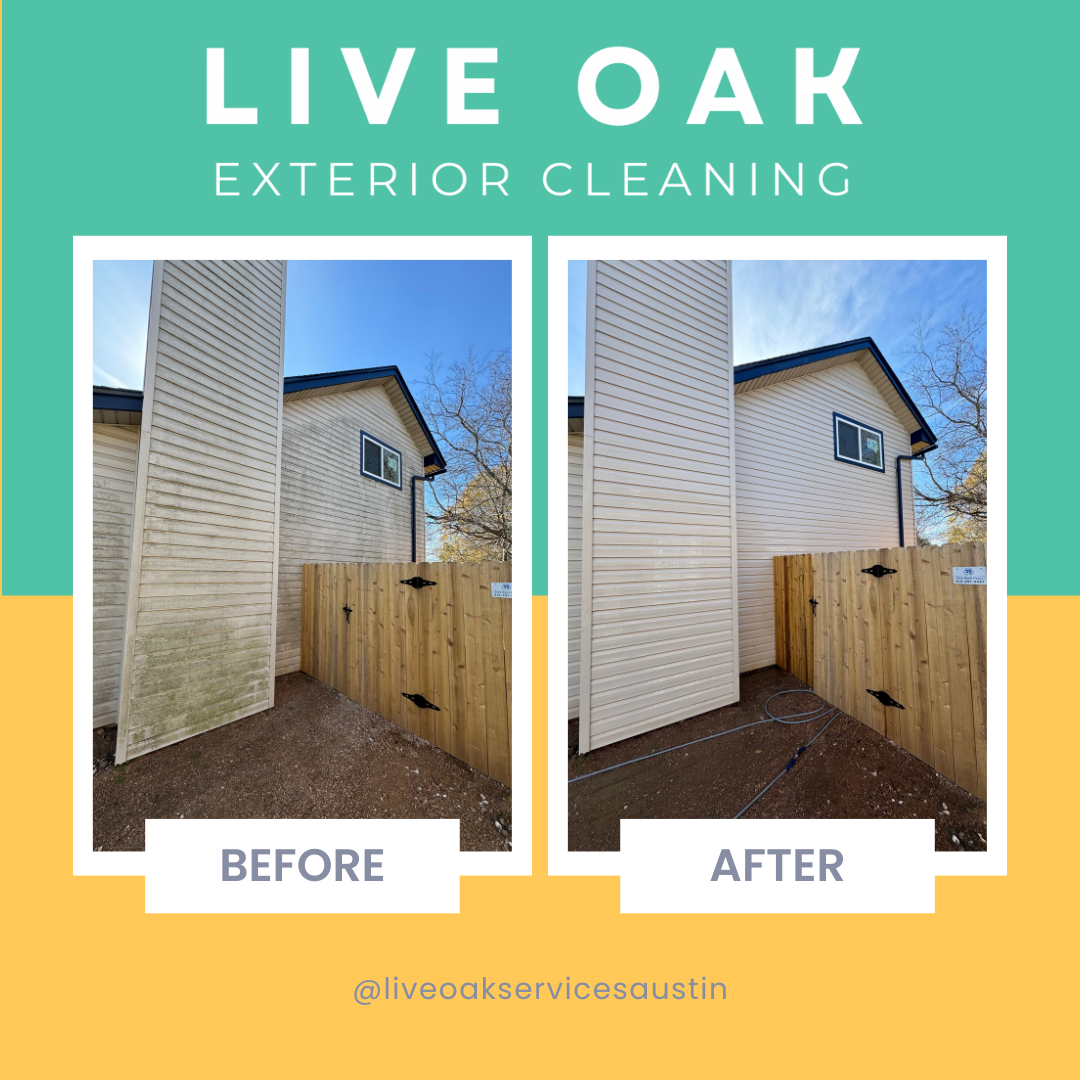 House Washing Before and After