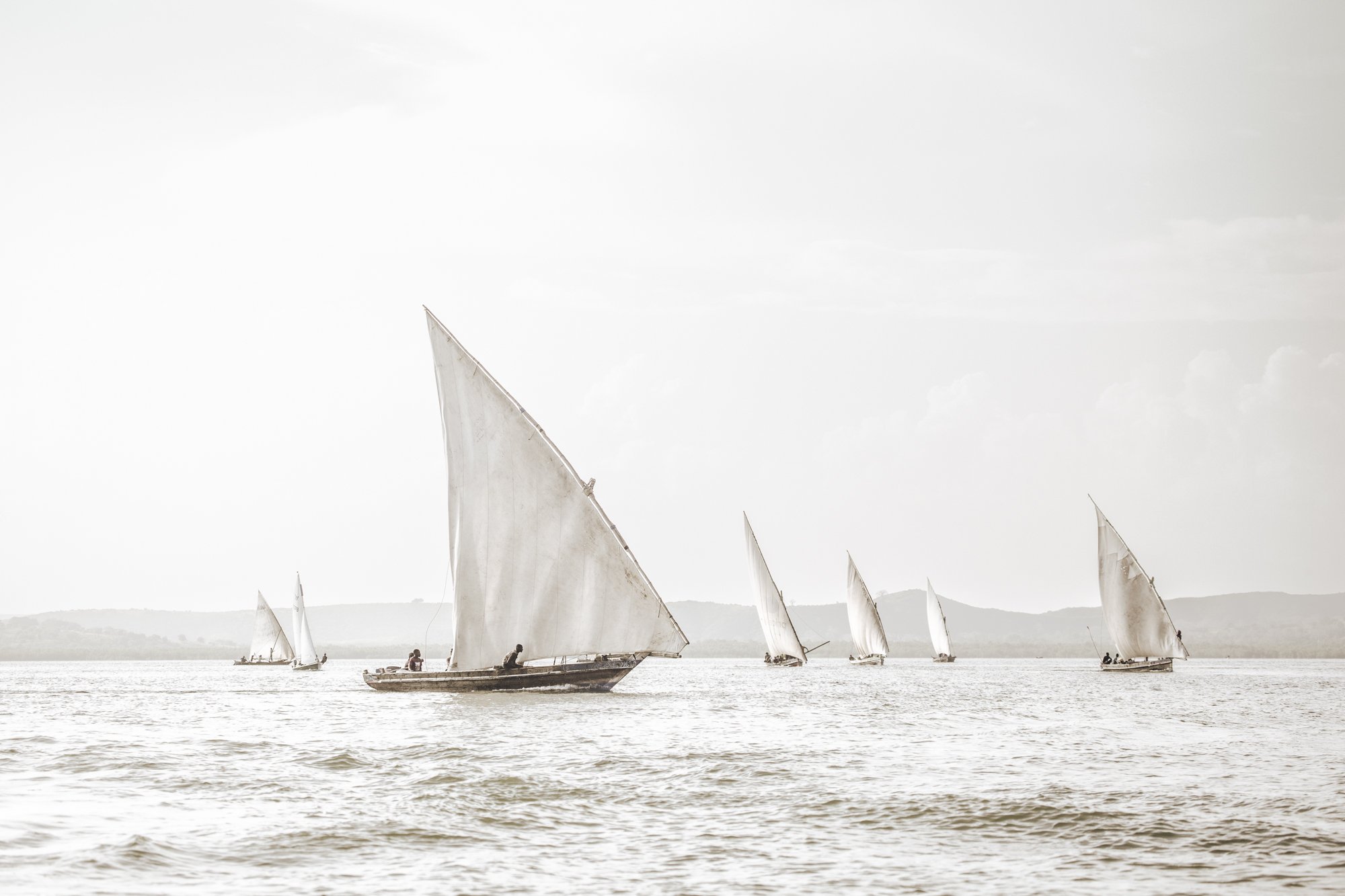 Sepia Lamu Dhows - Winds of the Swahili Coast - Photographer Louisa Seton