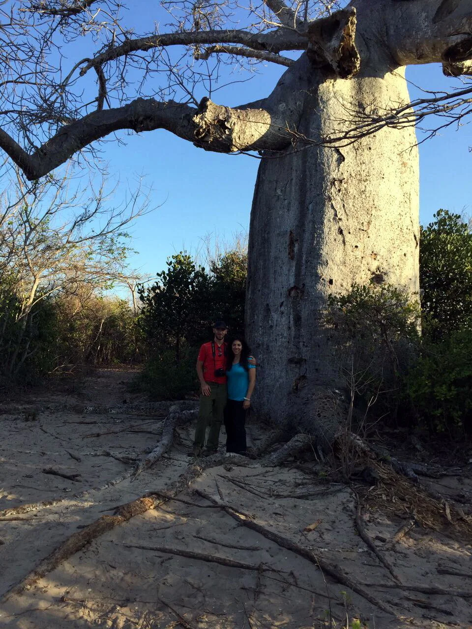 2016 - Madagascar (under a baobab tree)