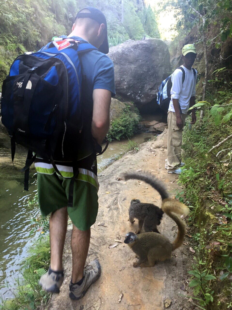 2016 - Madagascar