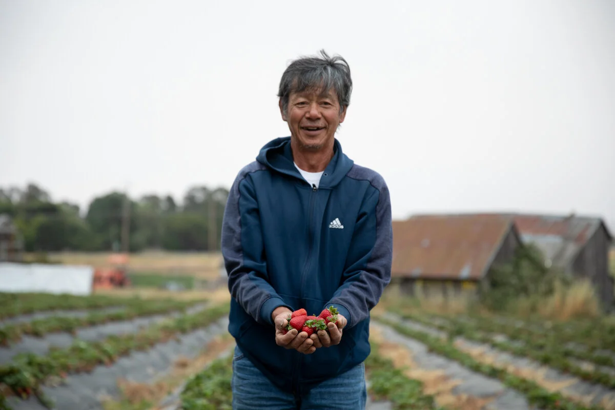 017_StonyPointStrawberries_FEED_06242020_paigegreen.jpg