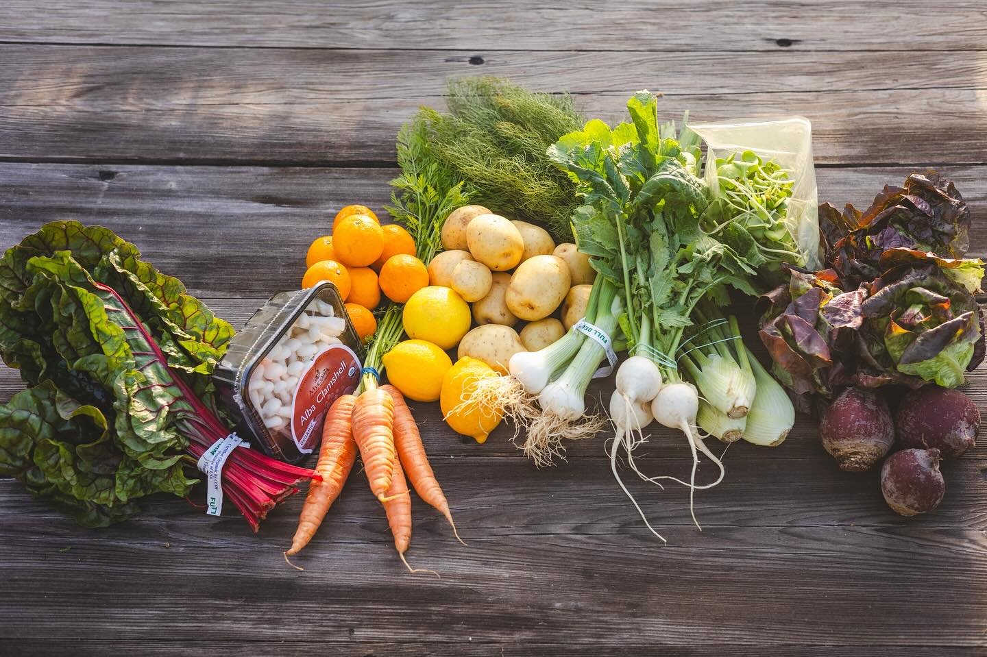 ☀️🌱Check out what&rsquo;s included in this early spring FEED Bin box:
&bull; Chard or kale
&bull; Little gems
&bull; Potatoes 
&bull; Microgreens/shoots 
&bull; Fennel (baby)
&bull; Meyer lemons
&bull; Mandarins, mini gold nugget 
&bull; Carrots 
&b