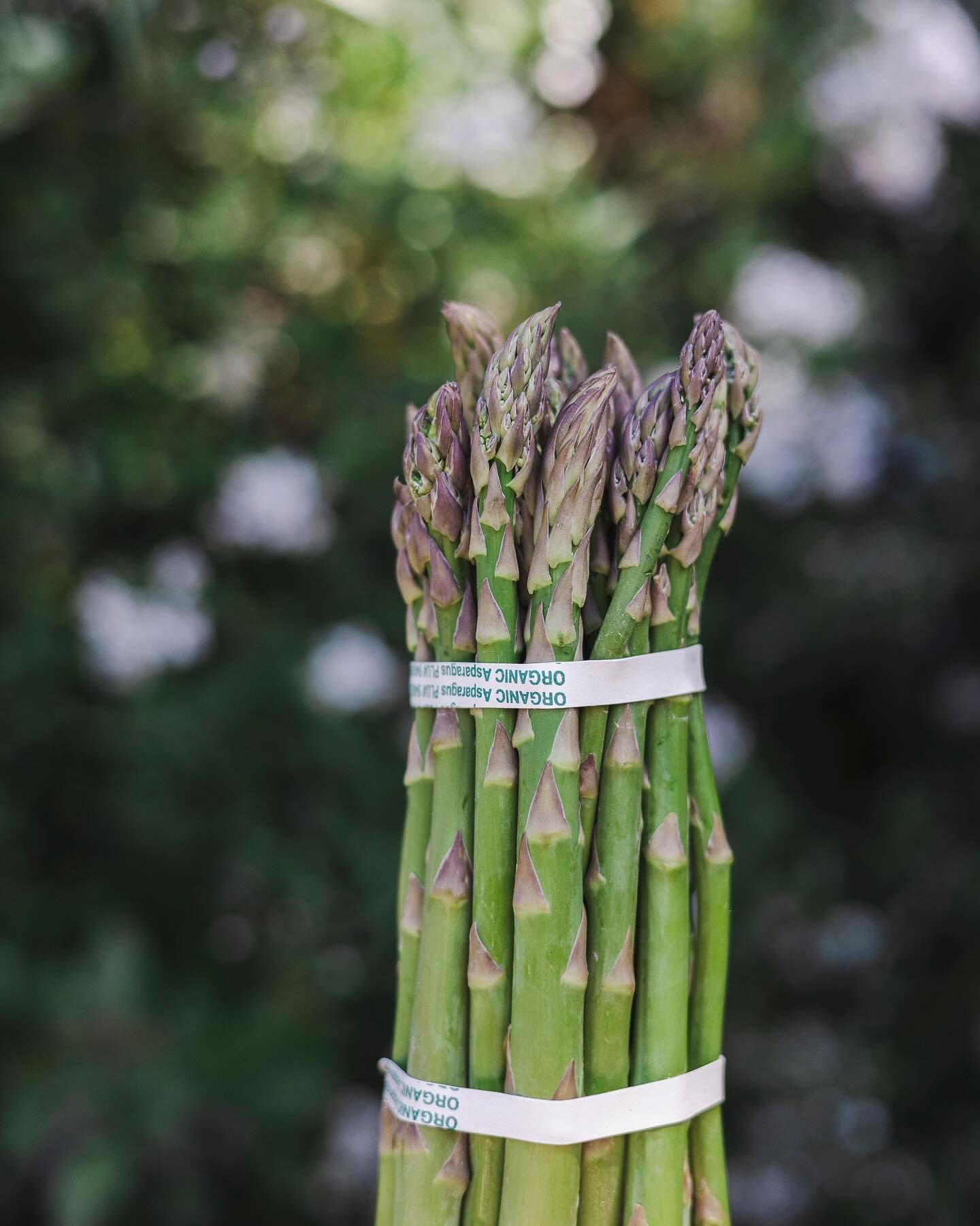 💚It&rsquo;s officially asparagus season! 💚

Asparagus season is a short window to enjoy this ultimate spring treat, so get it while you can! We are popping some into the FEED Bins this weekend for the first time this year. Keep an eye out for more 