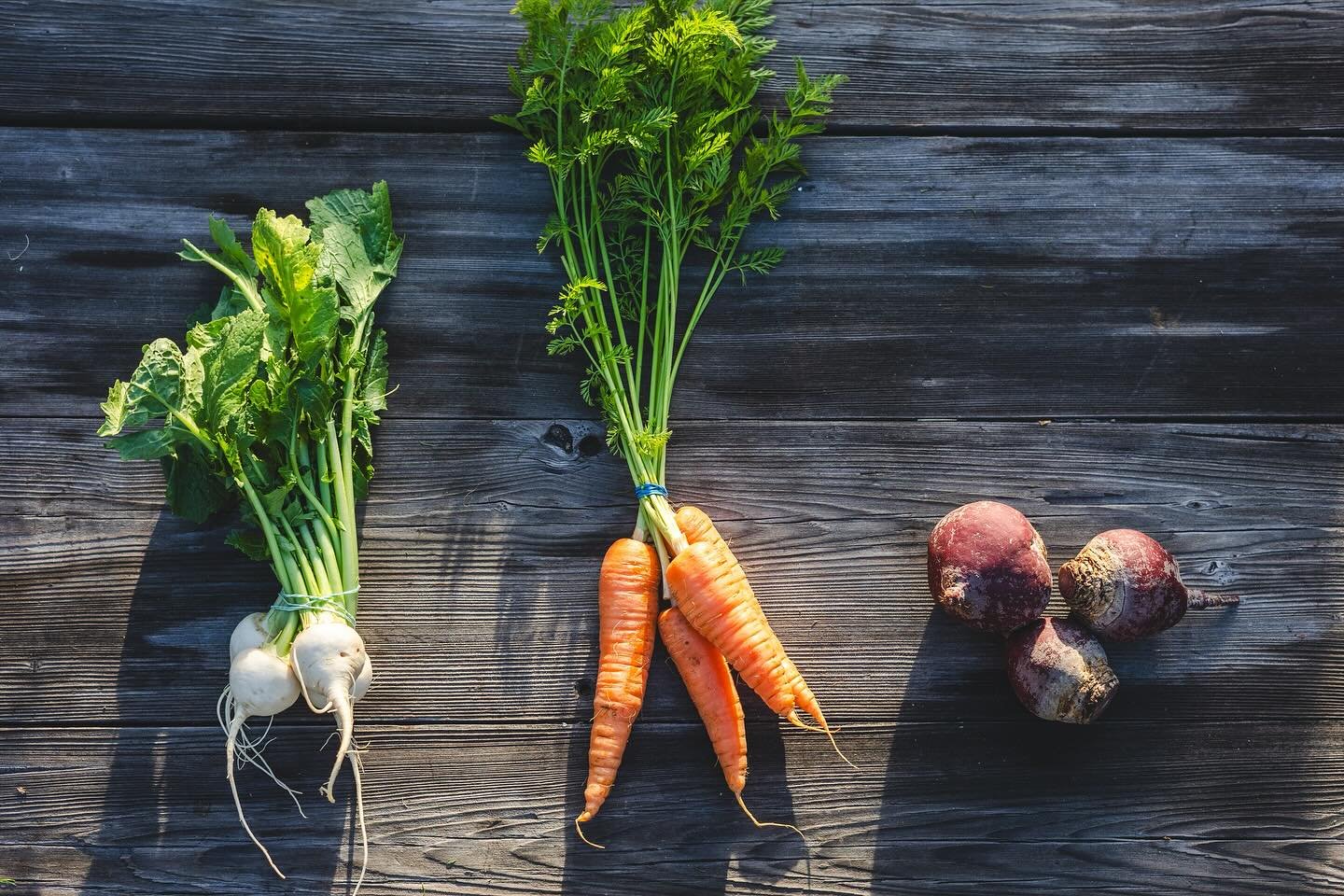 Let&rsquo;s talk about root veggies and their greens! Have you ever wondered why root veggies sometimes come with their greens and other times without? Some fruits &amp; veggies need to be eaten fairly quickly after harvest, but others store well and