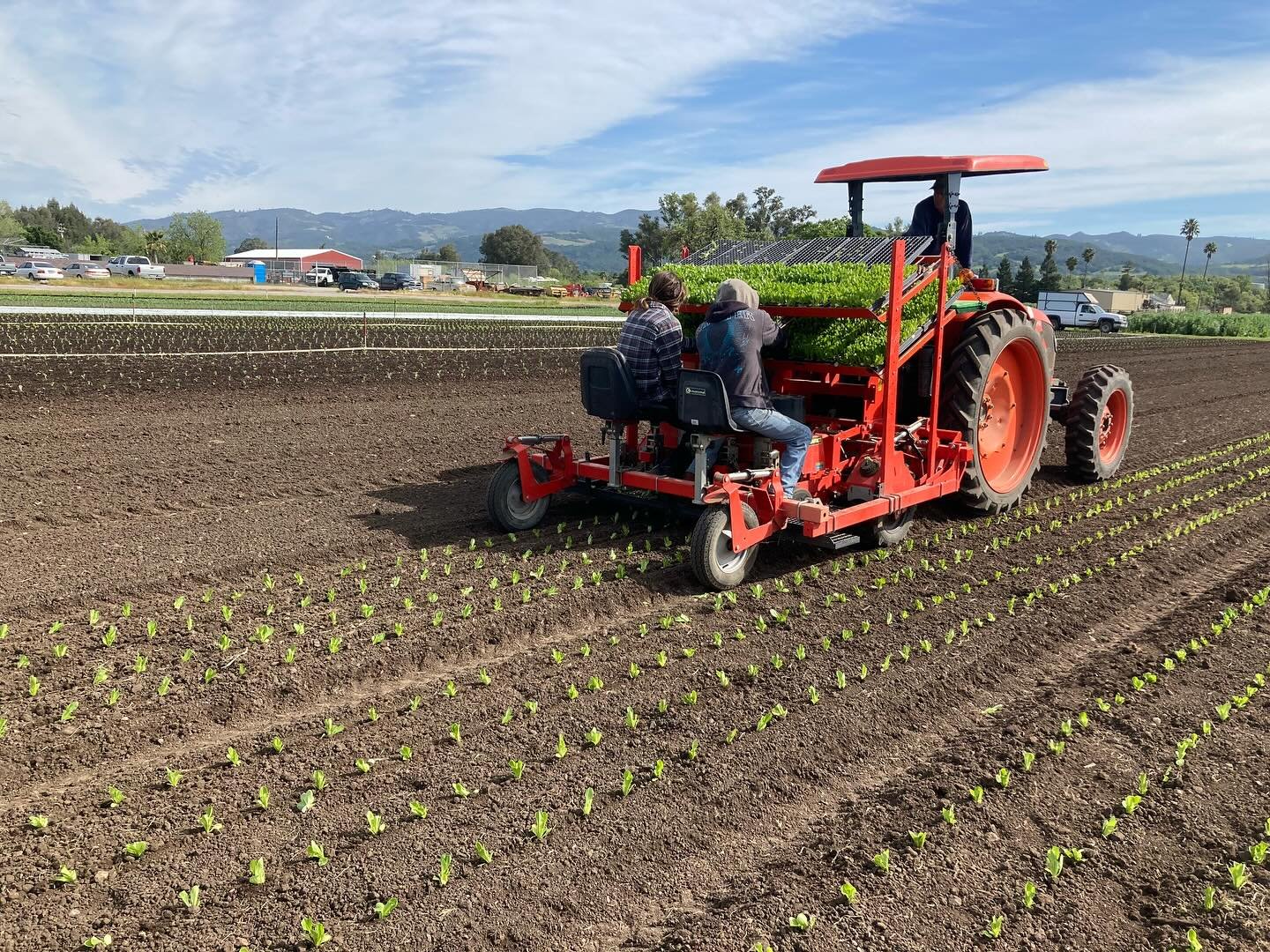 Transplanting scenes at Paul&rsquo;s Produce! 🚜 This time of year starts to get very busy for farms in our area as everyone preps and plants for the seasons ahead! Farms are not only planting now for Spring, but are also laying the groundwork for Su