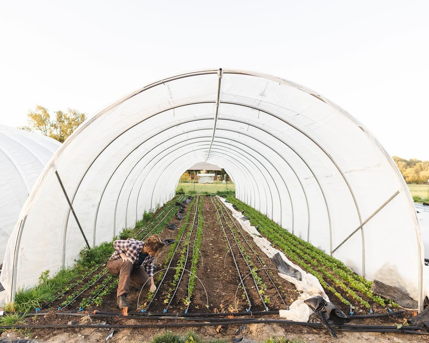 Happy Earth Day! 🌎 Supporting your local farms who are caring for our ecosystem is a great way to help our wonderful planet thrive for future generations. There are so many farms doing incredible work to not only feed their communities, but also to 