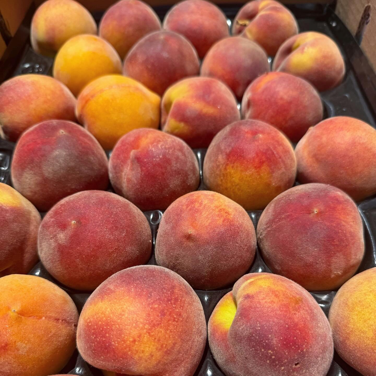 🍑✨We have some beautiful stone fruit coming in right now from @nicholasboldtfarms. Nicholas Boldt is a fifth generation stone fruit farmer who focuses on growing unique and flavorful varieties. The farm has over 80 types of peaches, nectarines, apri