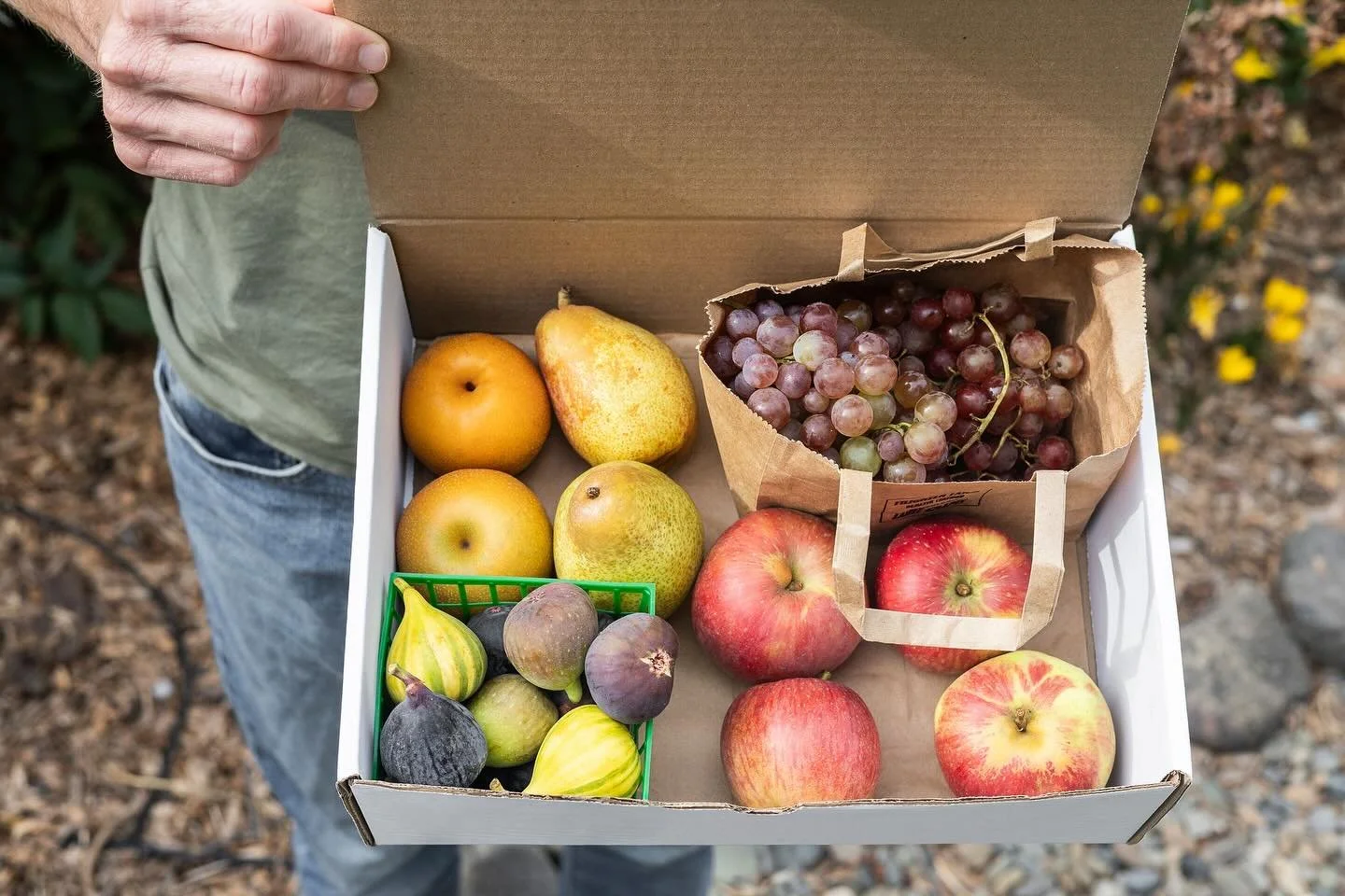 🍎🍁🍐 Say hello to the Fall Fruit Bins, full of apples, pears, figs and grapes. As we say goodbye to summer and fully embrace the autumn season, we love that these fruits can be enjoyed fresh or turned into cozy desserts &amp; baked goods. We&rsquo;