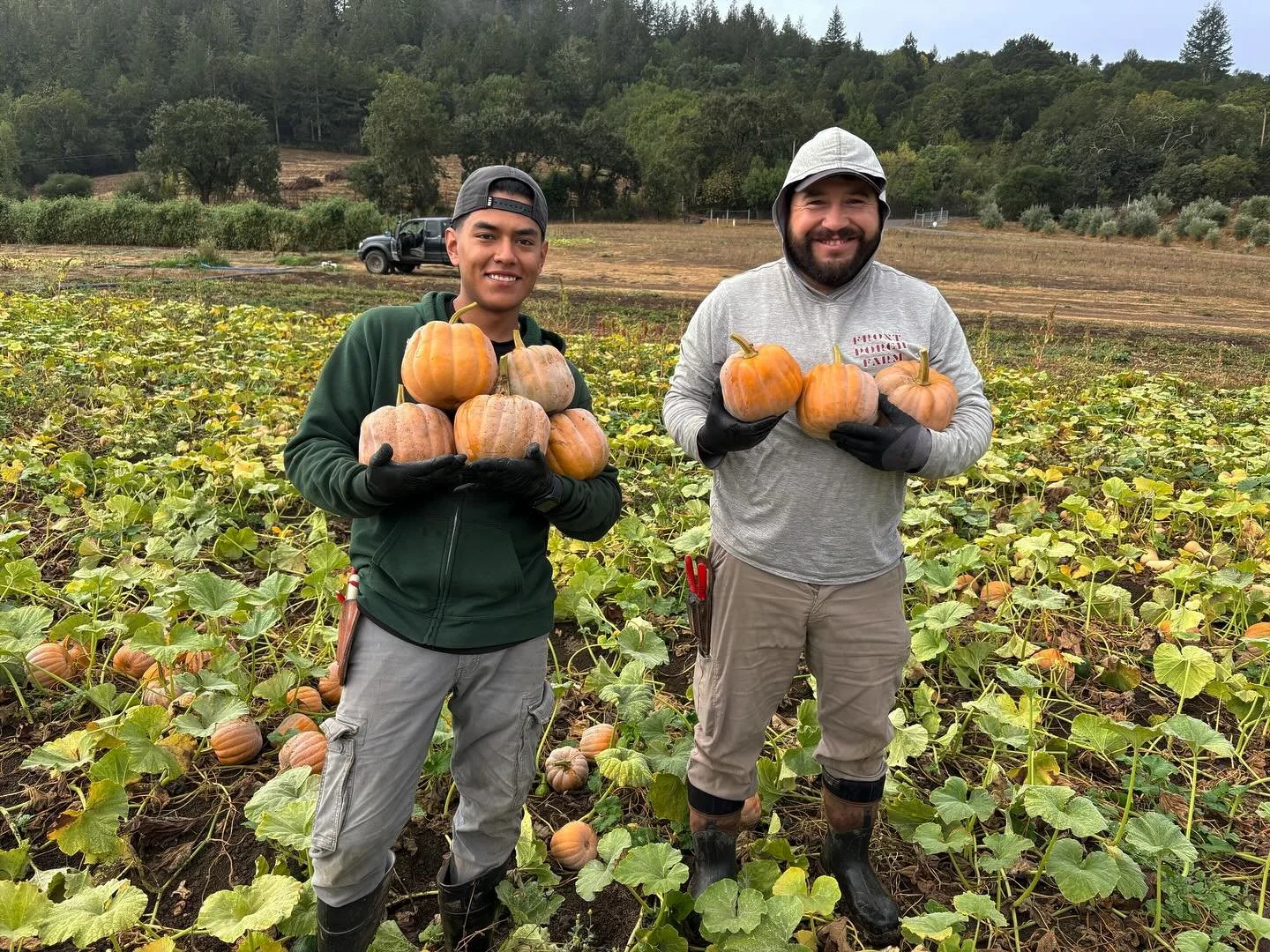 @frontporchfarmer crew members Alan &amp; Amador harvesting Koginut winter squash. It&rsquo;s hard to believe it&rsquo;s officially that time of the year, but here we are! We&rsquo;re switching into fall mode and all the nourishing, cozy food that co