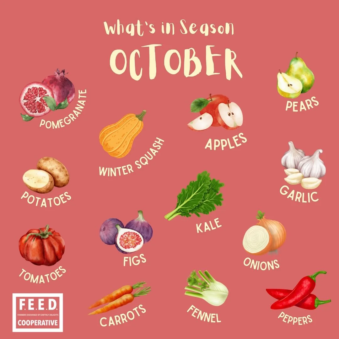 🍁🍂 October is here and fall has officially arrived on local farms, including with some recent showers 🌧️ This month we see more of the autumn flavors made for cozy, hearty and nourishing meals. We&rsquo;re flush with apples &amp; pears, plus figs,