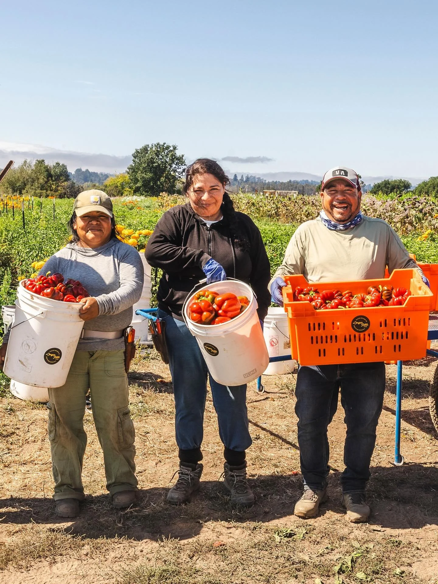 Taking a moment to express gratitude for every hardworking farmer growing the food we eat! As we near the end of peak season, we&rsquo;re thinking about the immense work it took to harvest all that food on hot days during the busiest time of year. An