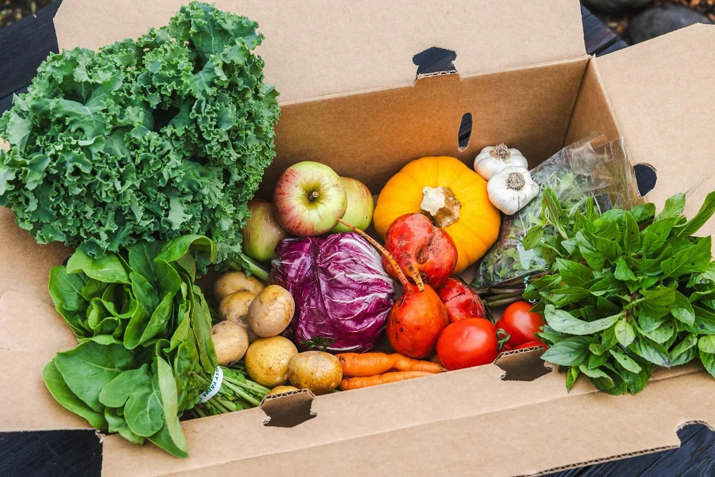 October FEED Bins are loaded + luscious. 🌈🥕🍎🌱 They&rsquo;re full of flavor and variety, thanks to the many wonderful local farms that contribute to each box. Here&rsquo;s what was in the midweek lineup:

🥗Spring mix or arugula 
🧄Garlic 
🥬Kale 
