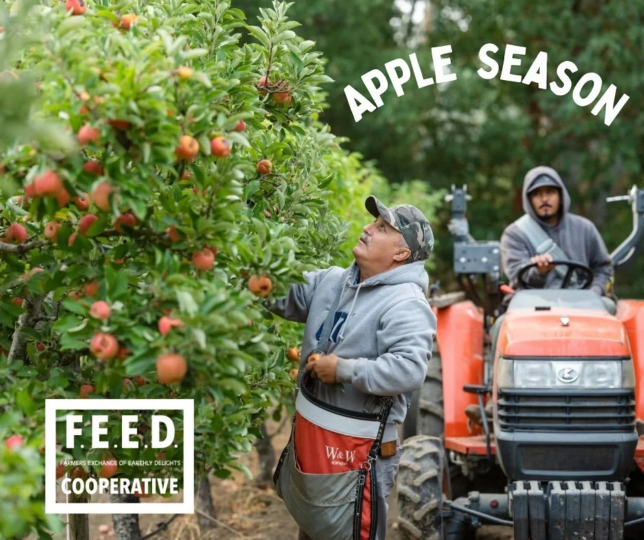 When you buy apples from FEED, you get:
🌳Fruit sourced from local, regenerative farms 
🍎A diverse range of flavor profiles to choose from 
💯Incredible quality and taste
🍏Product picked at peak ripeness 
🚜A purchase that directly helps your local