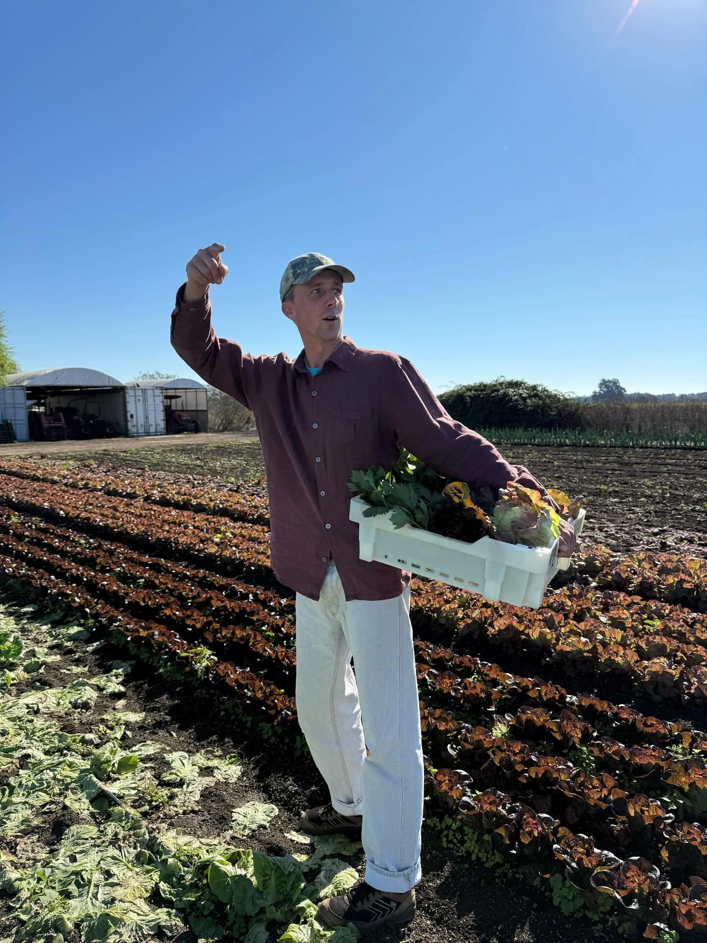 🍂🥦 Farmer Cody gave us a peek 👀 at the fall fields over at Paul’s Produce and they’re looking lush! When you buy from FEED, you get the benefit of shopping from small, local farms and farms with different specializations, all under one