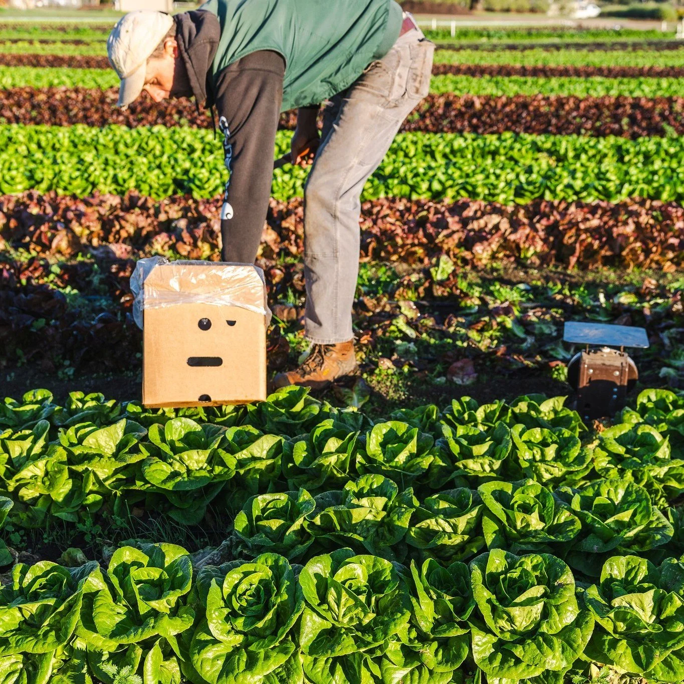 ❄️🎄 Holiday Schedule Update! 🎄❄️ FEED will be closed during the week of Christmas. This means we will be automatically skipping Wholesale and FEED Bin deliveries for Dec 23rd &amp; 24th as well as Dec 26th &amp; 27th. We will also be skipping deliv