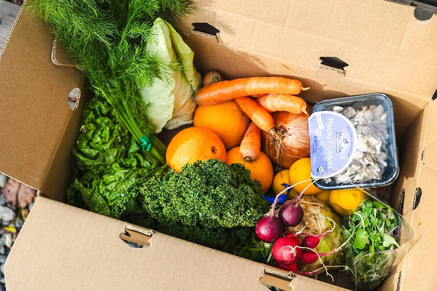 🍊🥬🥕 FEED Bins are as fresh as it gets! Even in the winter, the fruits &amp; veggies in our boxes are harvested-to-order and delivered soon after, retaining their maximum nutrient density and actually lasting in your fridge. This means healthier fo