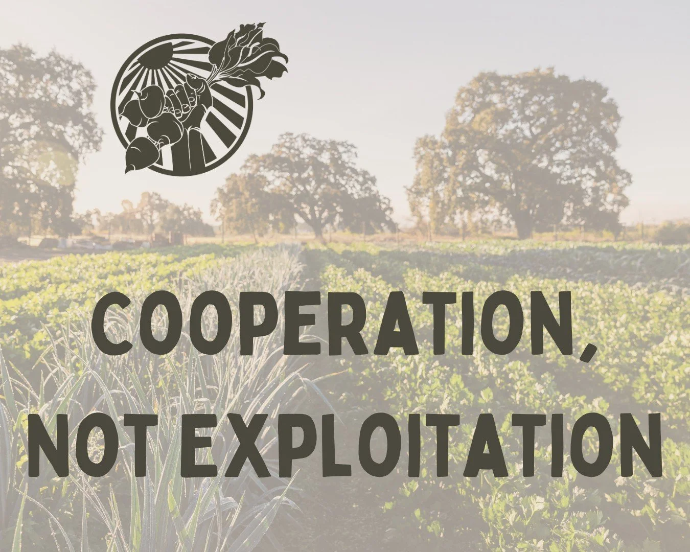 FEED Cooperative stands in solidarity with the aims of the National Shut Down on Friday, Jan 30th. As a farmer-owned cooperative, we remain open today because the work of producing food and tending land in harmony with natural systems does not stop. 