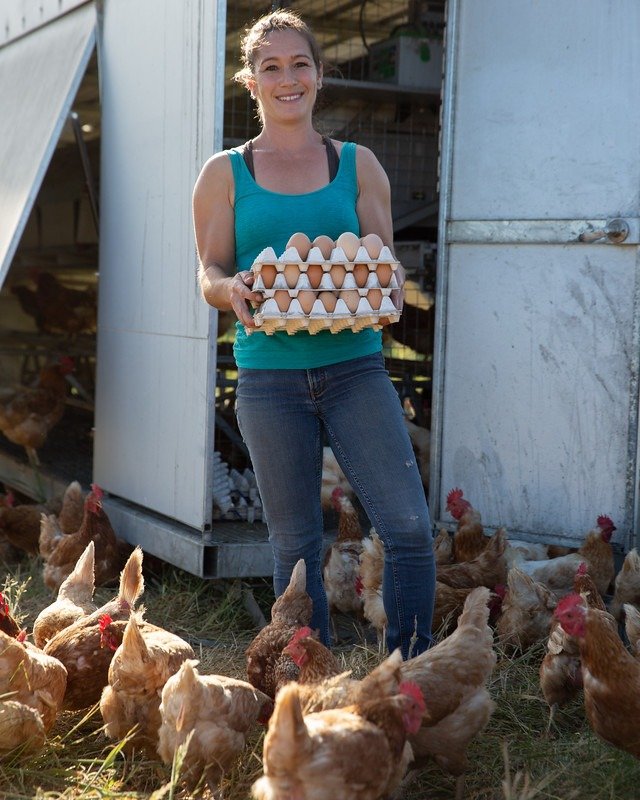 🥚 You can now find @greenstarfarmllc eggs, via FEED, at @community_market  in Sebastopol! We&rsquo;re so excited to partner with this independent local grocery store that is worker-run and stocks their shelves with values-aligned products. And with 