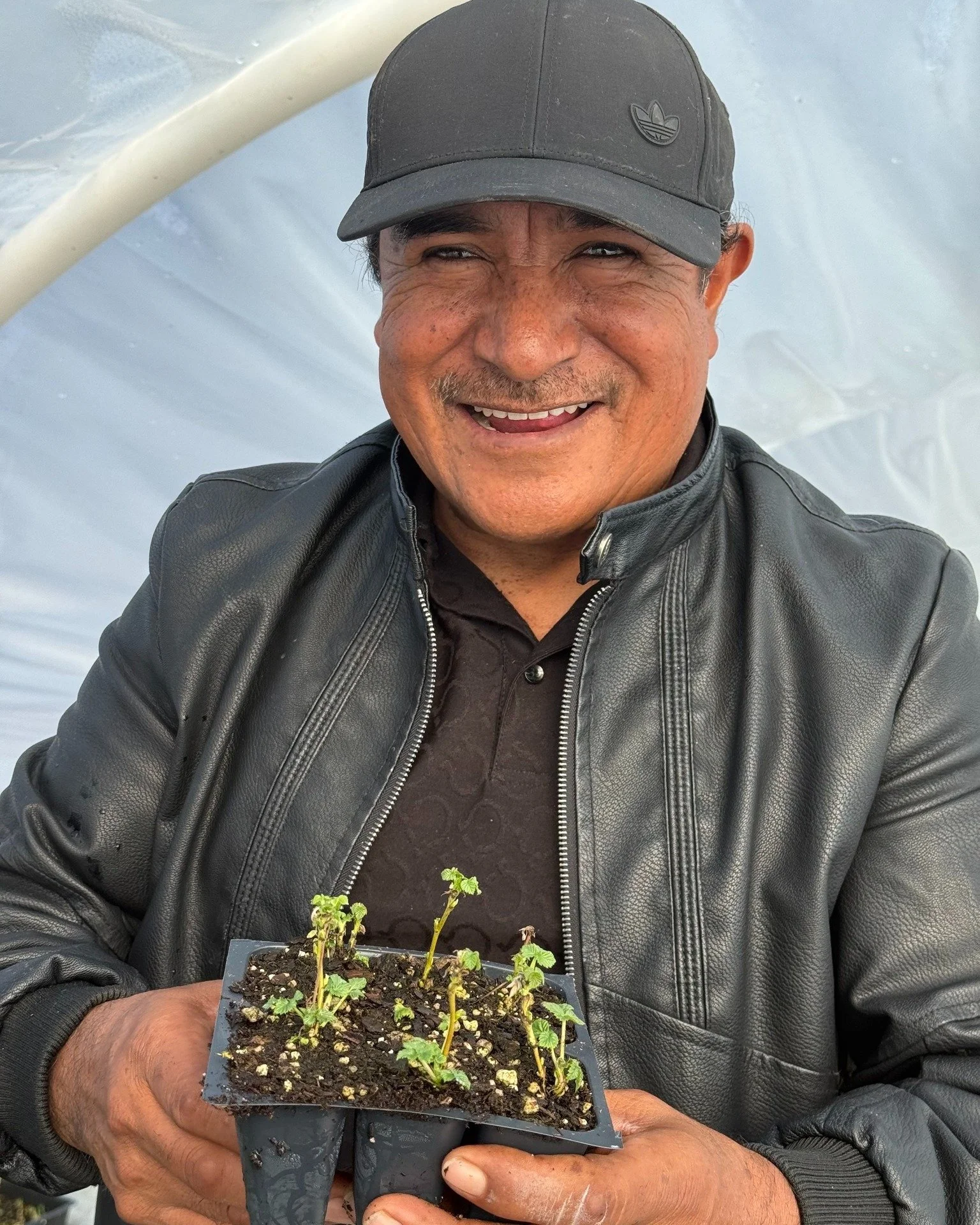 🎉 Warm welcome to our newest Cooperative member-owners here at FEED! 

Felix Diaz of Pelicanos Farm started his diverse veggie production in Petaluma from the ground up, building it into the thriving farm it is today. Initially renting equipment and