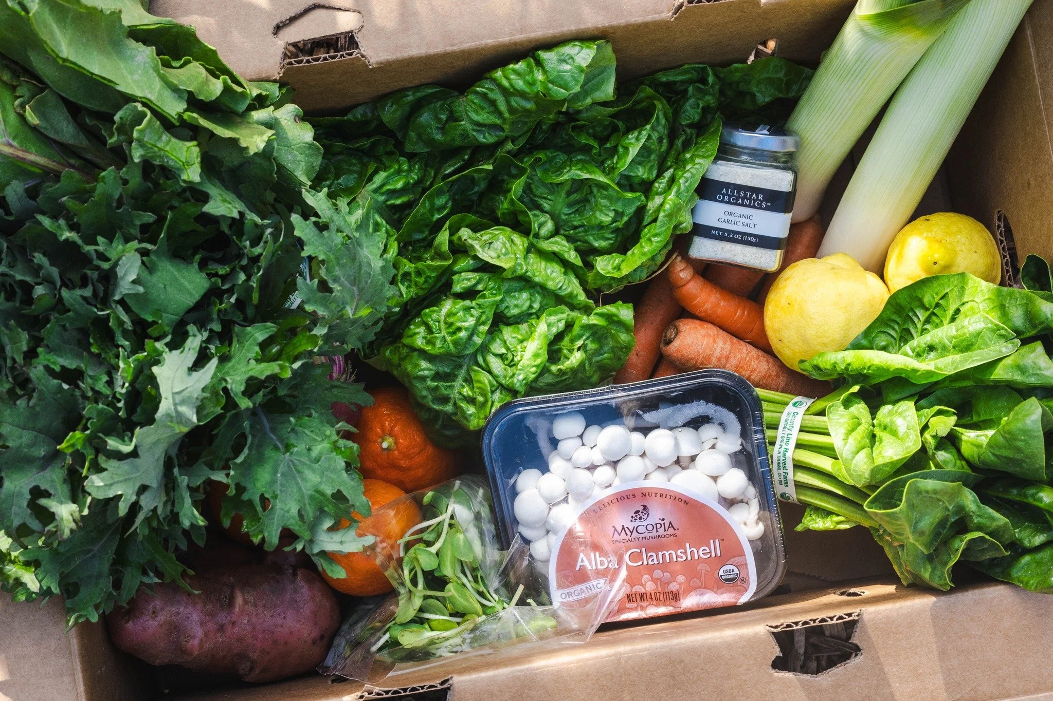 Fresh ingredients just hit different 🍊 🌱🍋 It's one of the reasons why gardening is so alluring. The taste of food you just picked when it was ripe is special and unique. Buying food from local farms is an extension of this experience and at FEED w