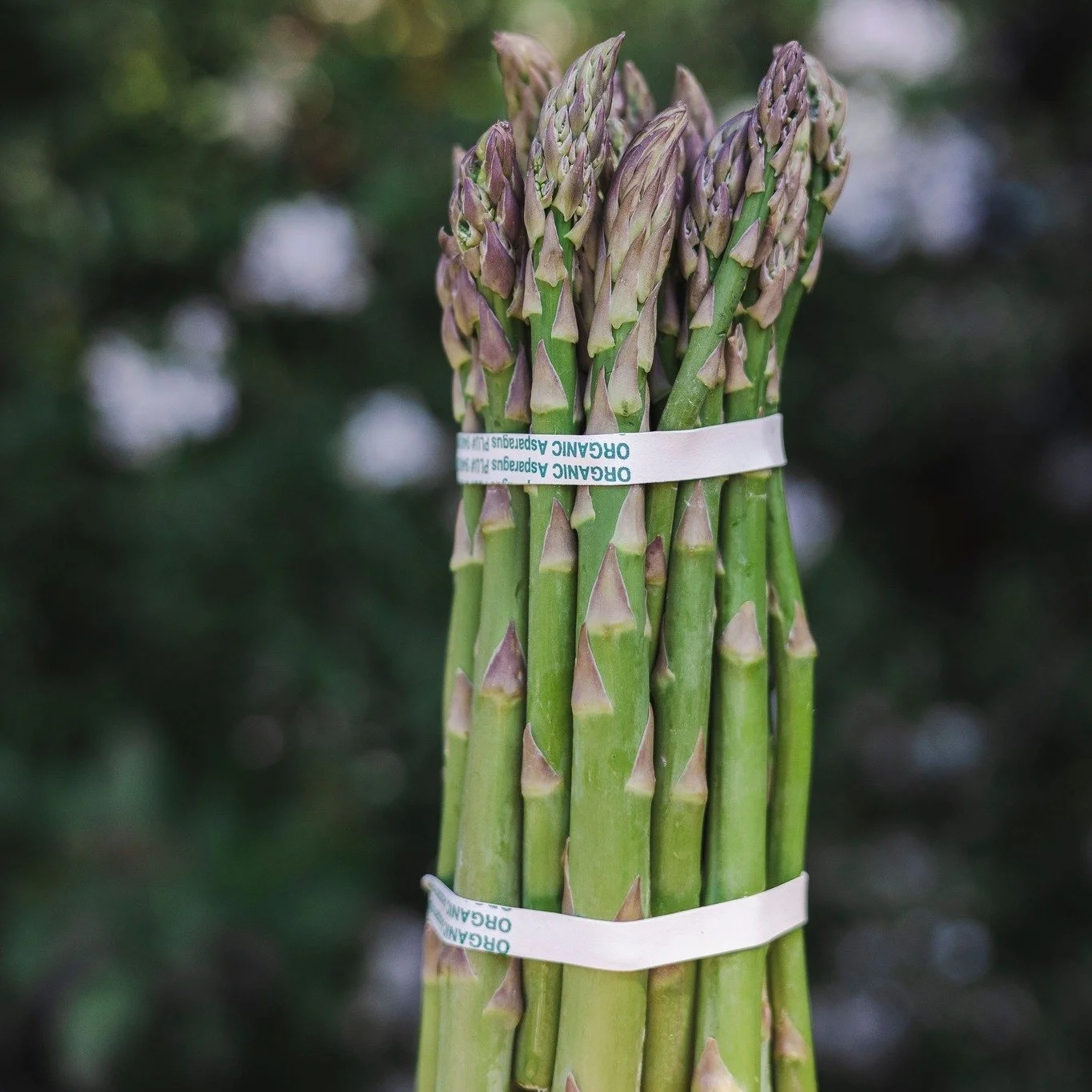 💚 Asparagus is joining the spring party! Next up in our spring roster is organic asparagus from @full_belly_farm. Asparagus has a short season, so stock up while you can! 

Most asparagus is imported from out of the country. FEED has developed a dir