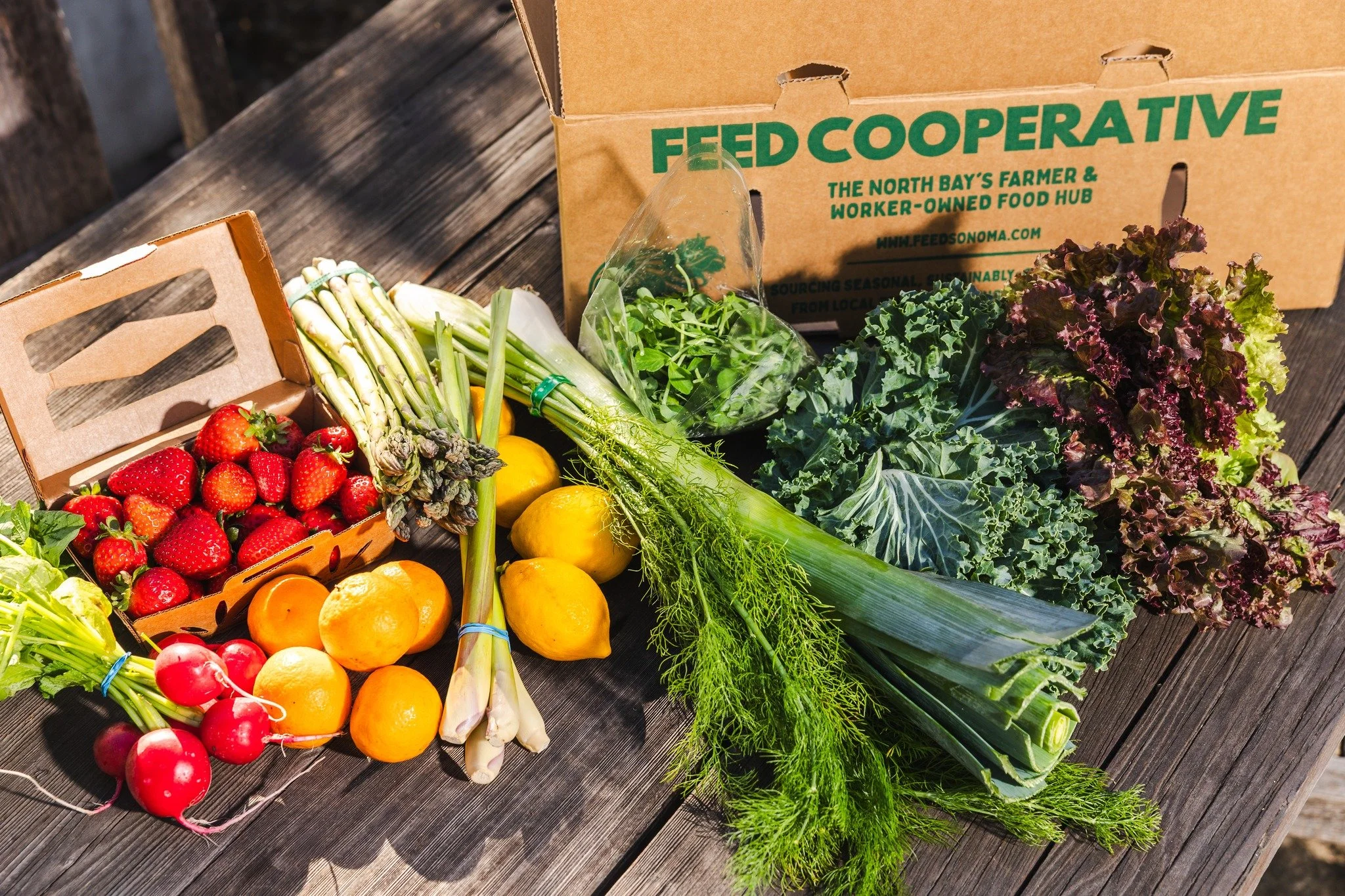 Want to know what farm your food is coming from and feel great about how it's grown? If so, FEED Bins were made for you! Our weekly multi-farm CSA box was created to make it easier to connect with your local and regional farms and all the great fruit