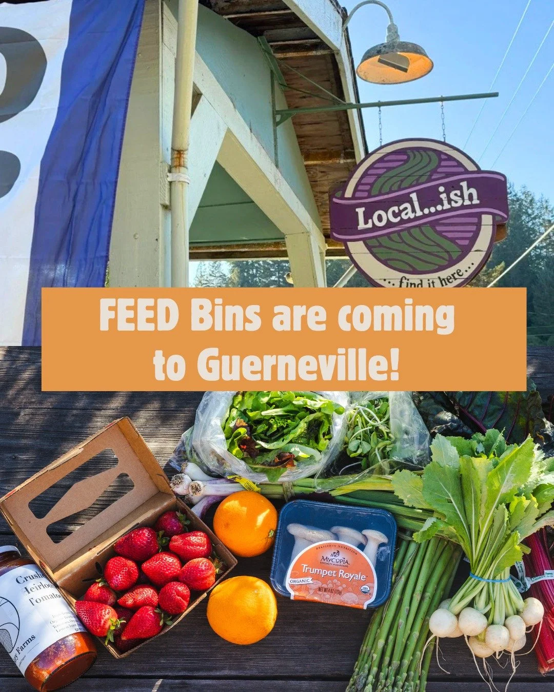 🍓 New FEED Bin Hub! We're partnering with @l@local.ish.sonoma to bring FEED Bins to Guerneville. Local...ish is a wonderful shop on Main Street that showcases Sonoma County artisans, small wine, beer and cider producers. Peruse their array of artisa