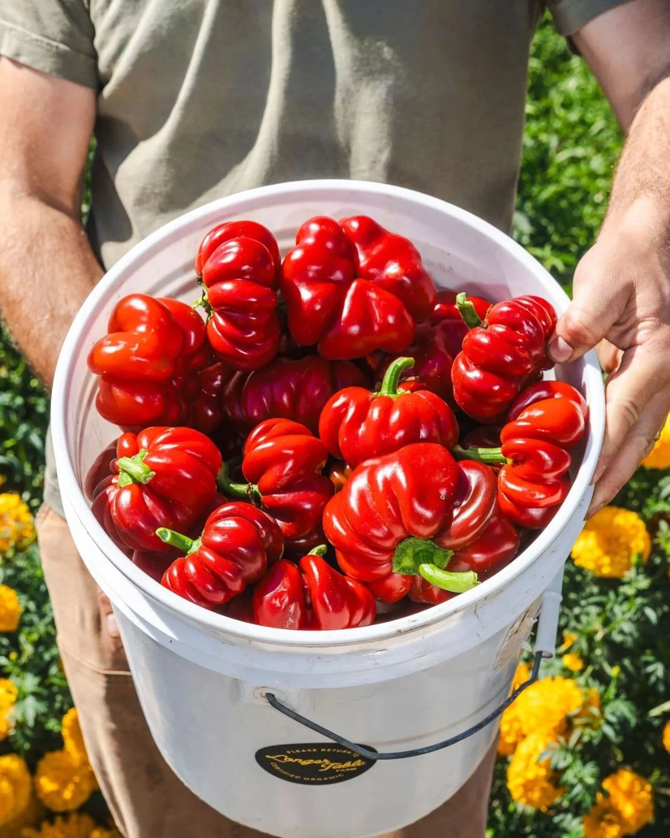 🌍 Happy Earth Day! Here at FEED, taking care of this beautiful planet, while taking care of our fellow humans is at the core of what we do. 

The farms that we work with aren&rsquo;t just growing delicious food, they are mindfully tending and caring