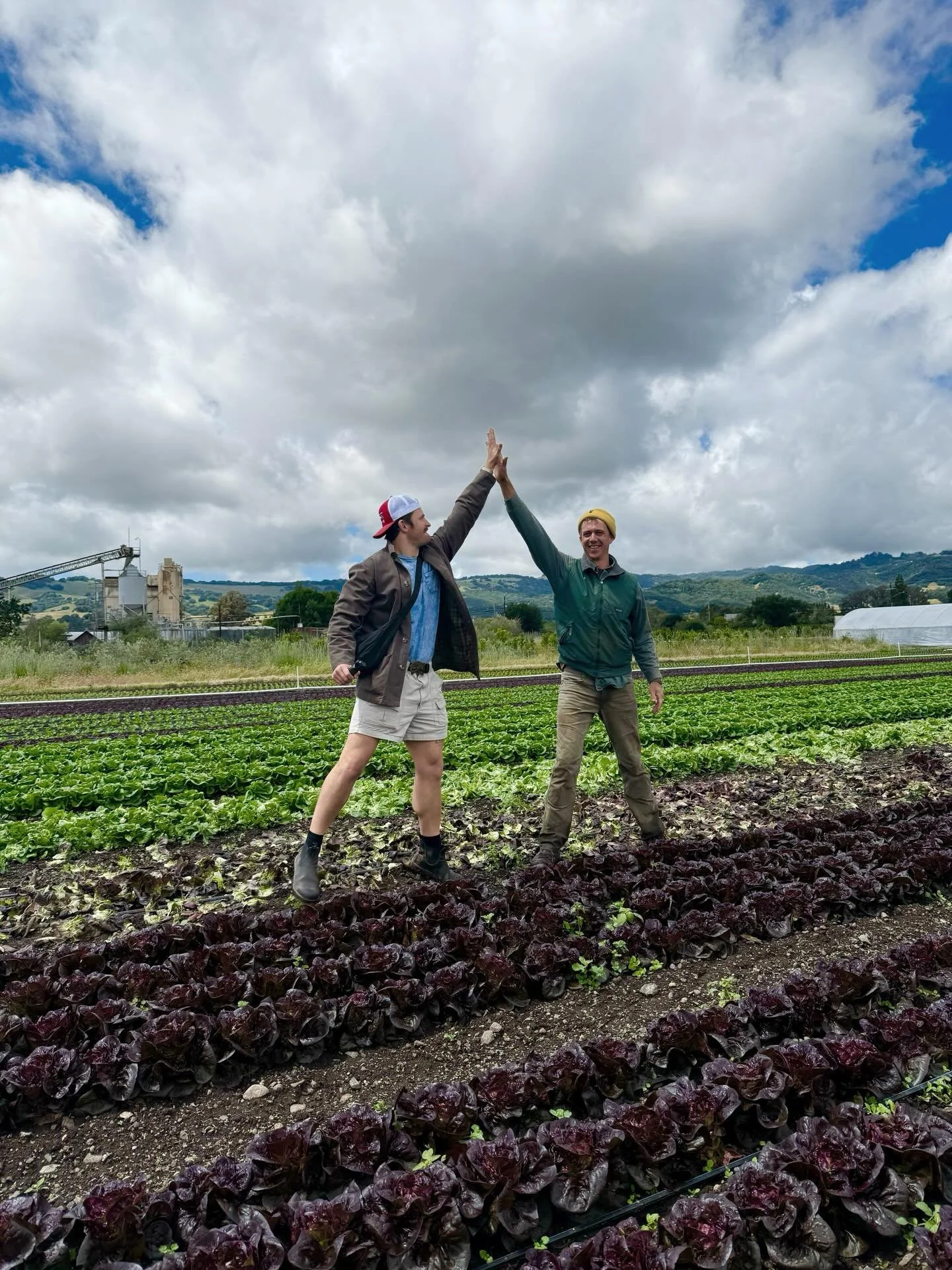 Fun on the farm while visiting Paul&rsquo;s Produce! We love visiting the farms we work with to see what&rsquo;s new and chat with the farmers. It&rsquo;s just one of the ways we build and maintain relationships in our farm-centric model. 

🥬 You ca