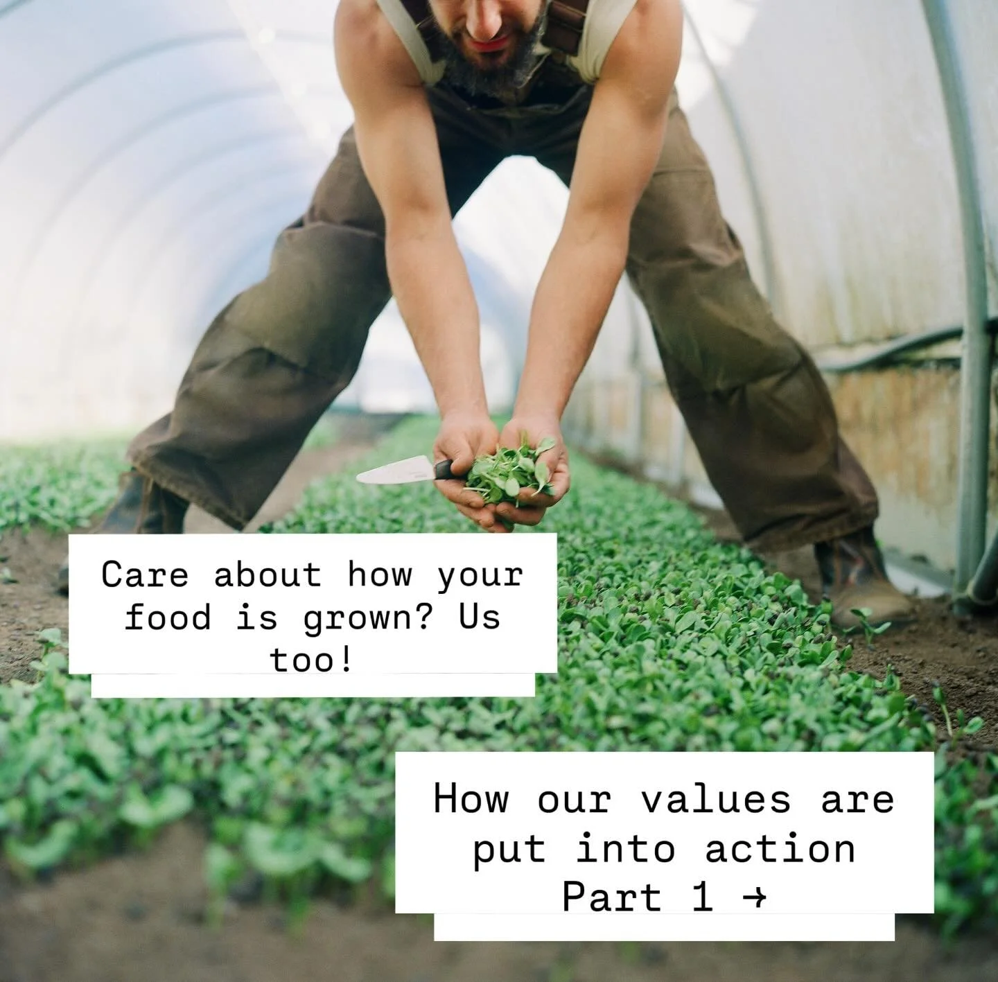 We&rsquo;re built different as a company. Our farms and values are at the center and delicious food is all around us. 

If you love buying directly from farms because the connection and transparency means feeling good about how your food was grown, t