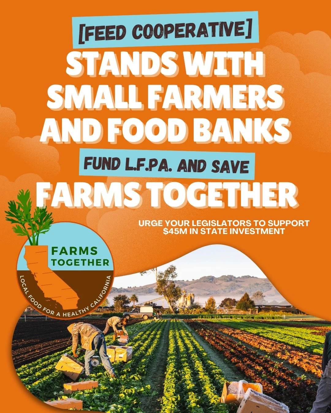 Act now to support small farms in California! We need the state of California to fund LPFA, a program that has provided immense support to small farms. You can help by urging your state reps to fund this program!

🍓 What is LPFA?
The Local Food Purc