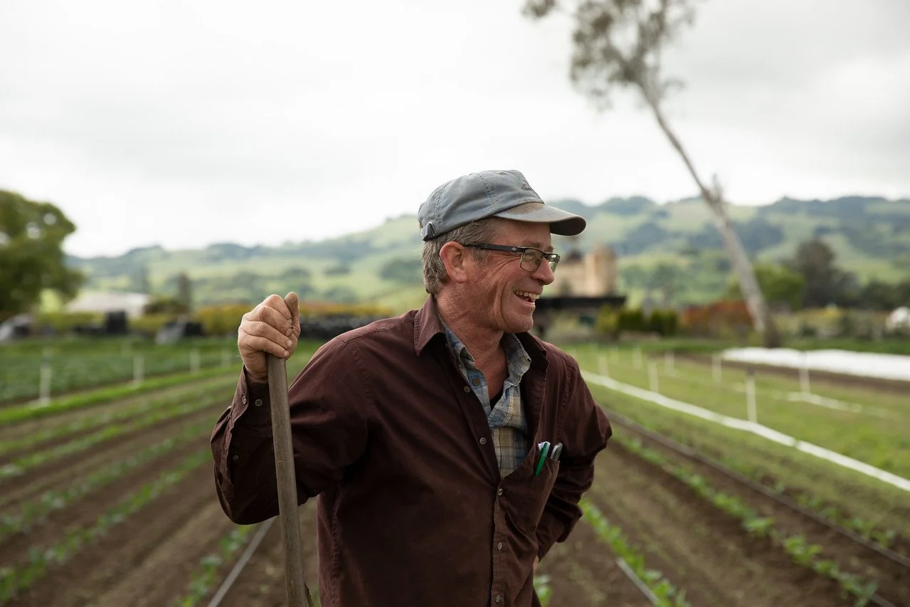Paul's Produce has been growing food in Sonoma Valley for nearly 40 years! A FEED Cooperative member, the farm grows a diverse range of veggies, including Little Gem lettuces, a keystone crop within our cooperative. Their little gems are available no
