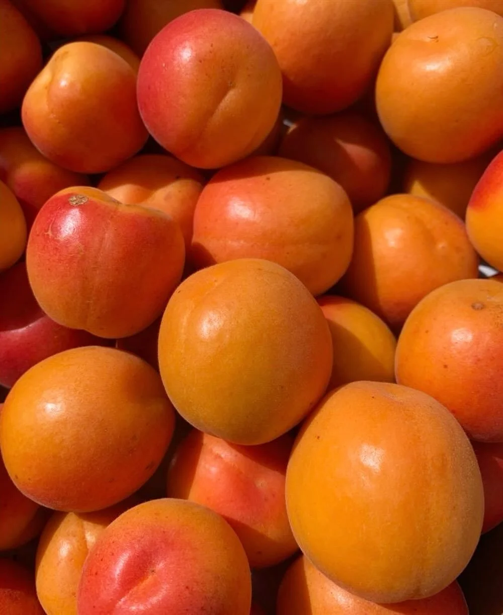 🍑🍓 Summer Fruit Forever! We&rsquo;re now offering some wholesale cases of fruit to our FEED Bin customers as add-ons. Tis the season of preserving and generally eating all the fruit you can, so stock up on some local &amp; regional sweet treats! Su