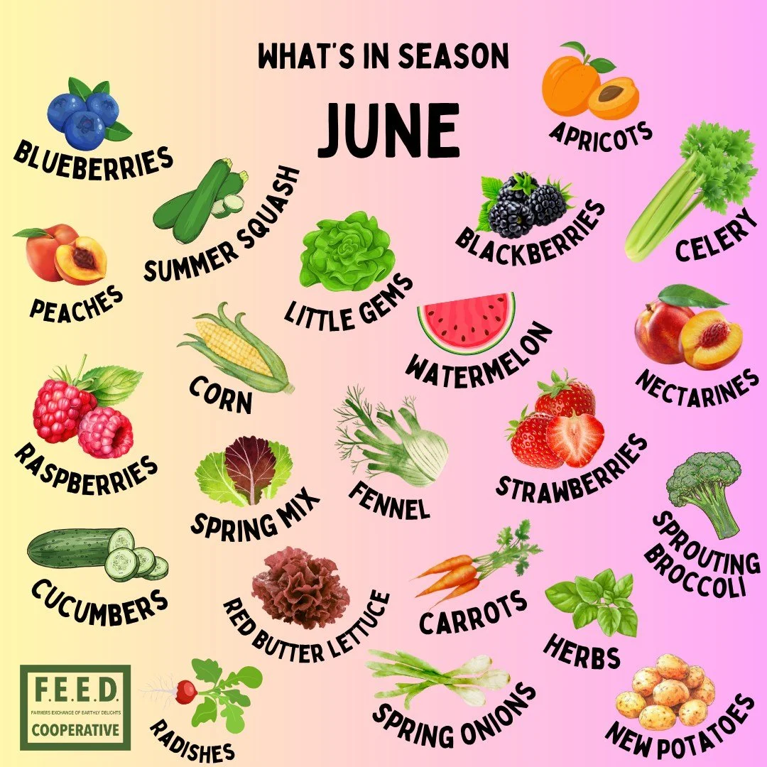 Berries, stone fruit, watermelon, little gems, summer squash, fresh herbs, celery and new potatoes are just a few of the treasures coming from our local + regional farms this month! 

It's a truly delicious time of the year when flavor is queen, whic