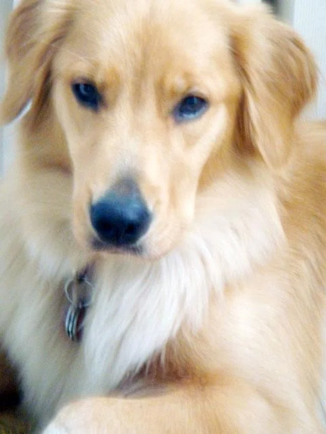 2016 with Summer&hellip; 
I&rsquo;d go back in a second🤍