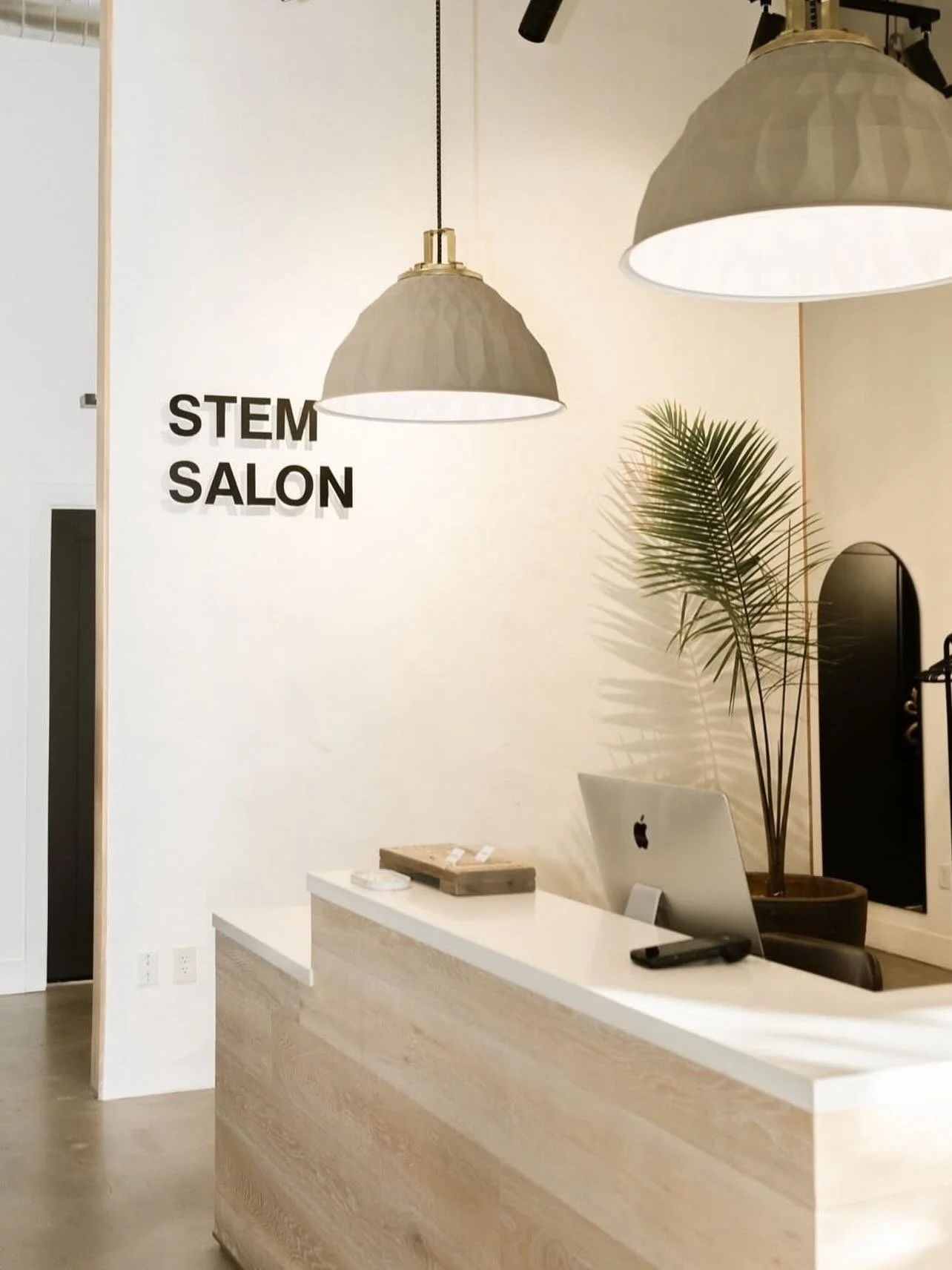 new digs!! catch me at @stemsalon walnut creek! link in my bio to come hang out at my the new space 🫶🏼