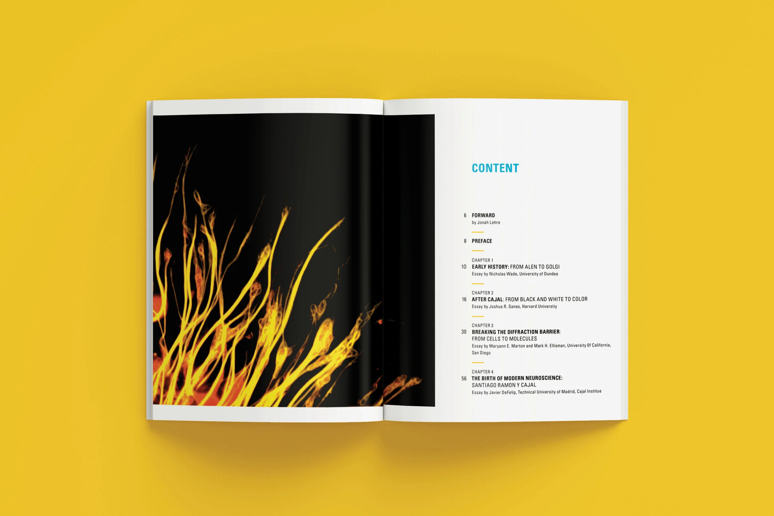 Website projects6.jpg