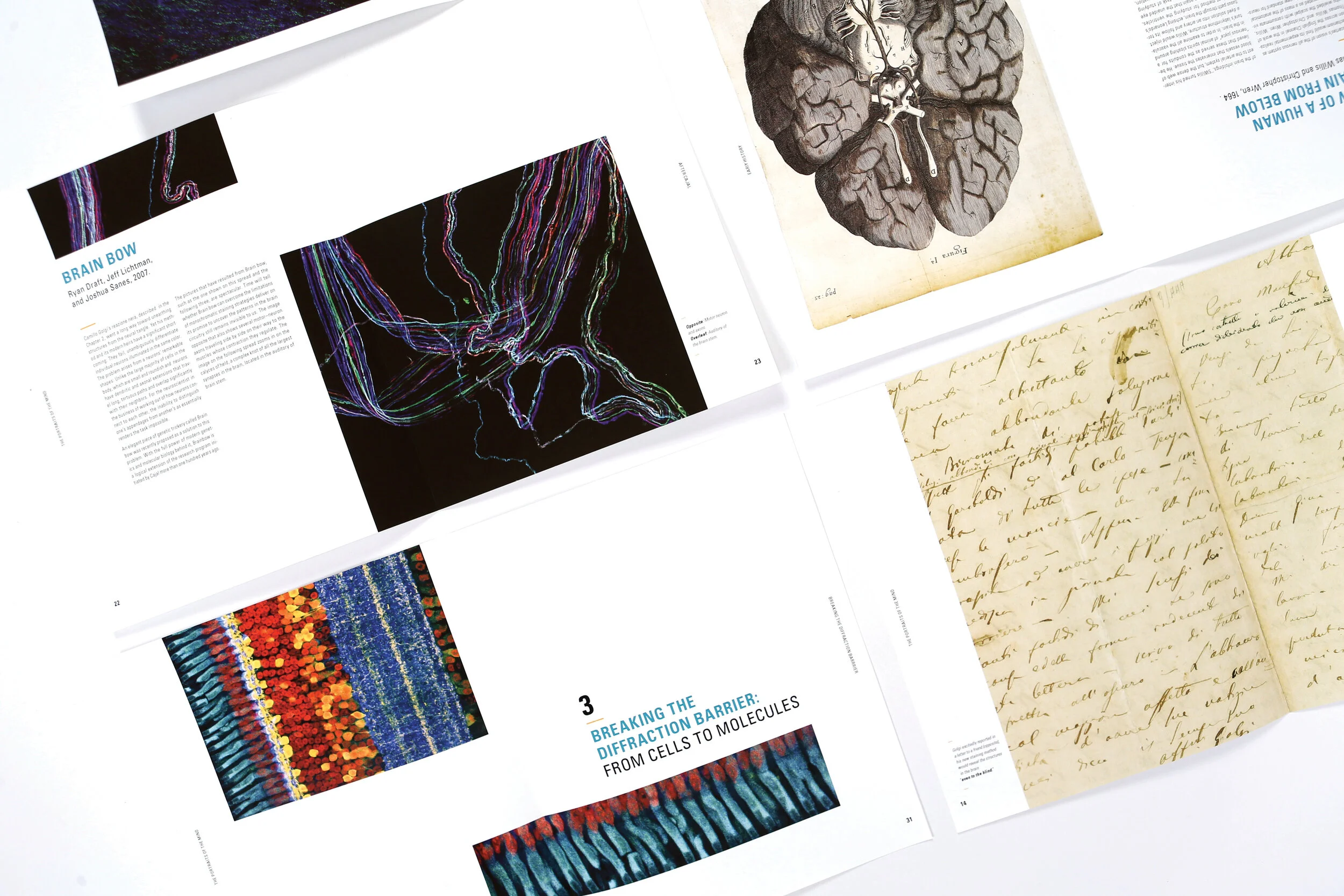 Website projects5.jpg