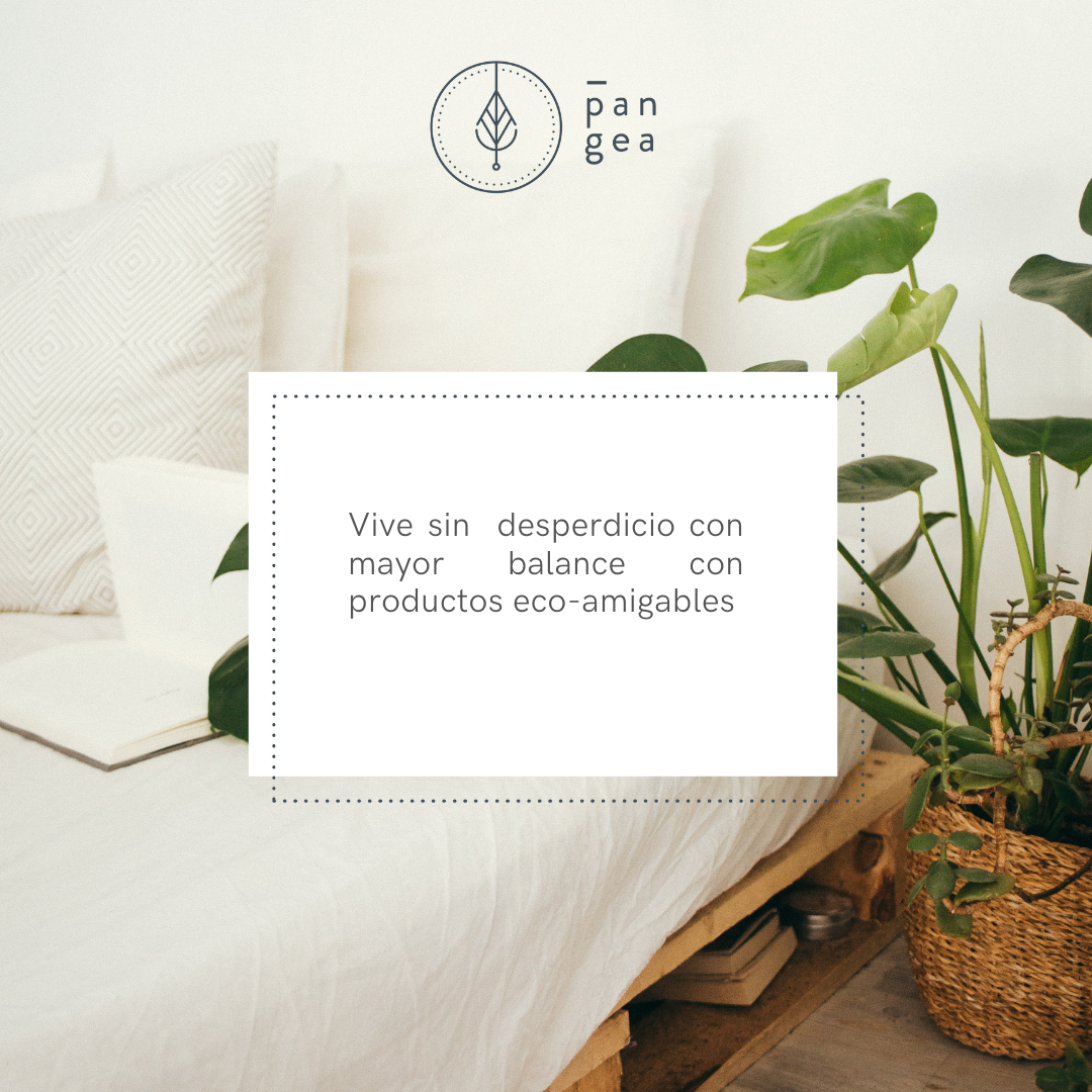 PGEA - Estilo de Vida1.png