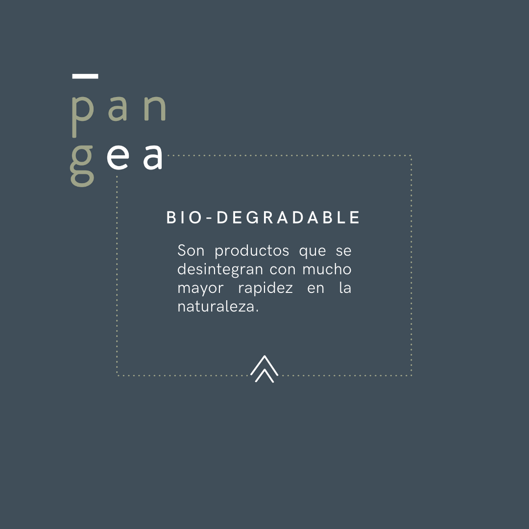 PGEA - Info. Básica2.png