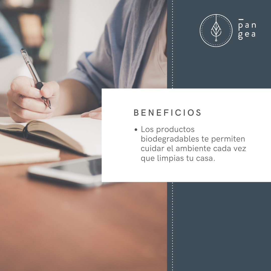 PGEA - Beneficios.png