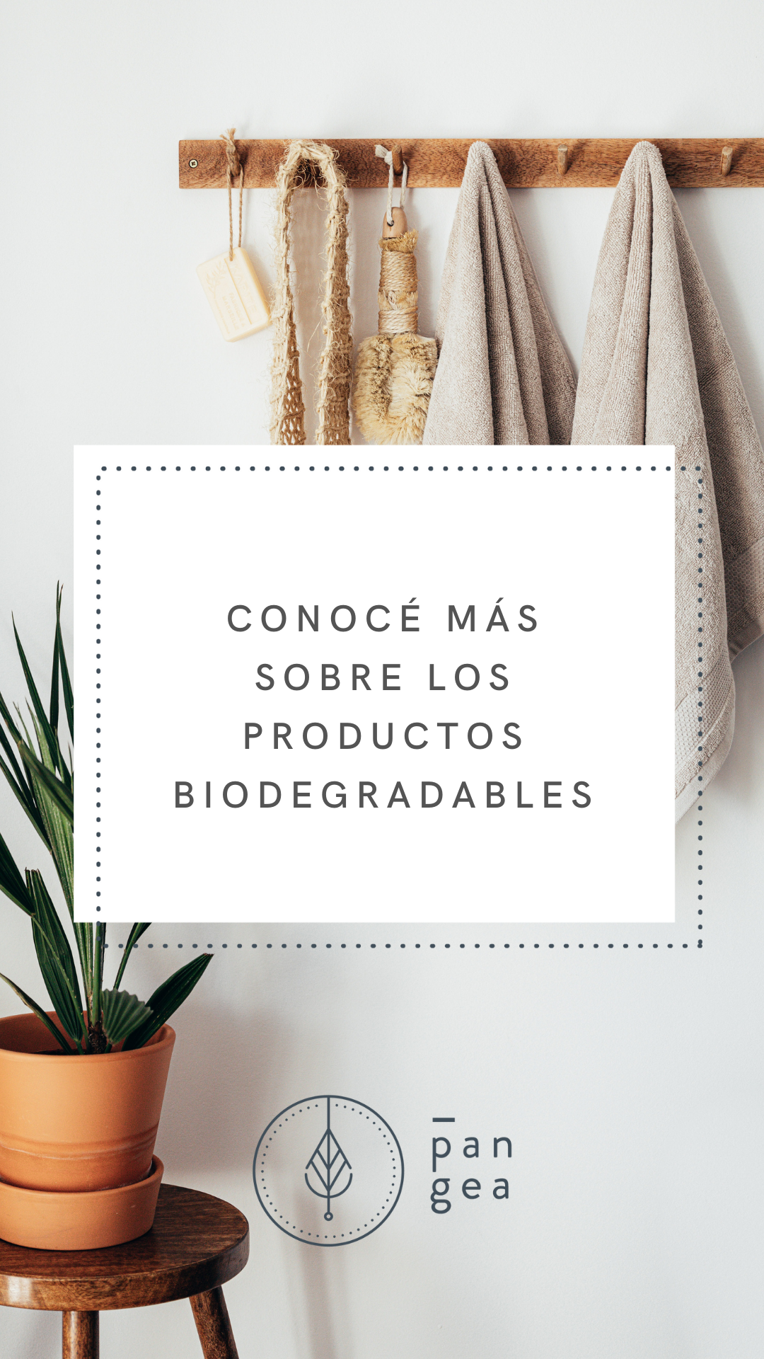 PGEA - IG Story4.png